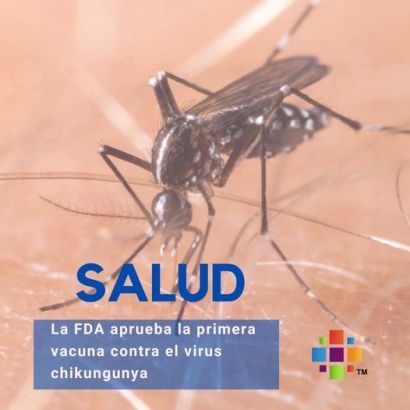 SE APRUEBA LA PRIMERA VACUNA CONTRA LA CHIKUNGUNYA